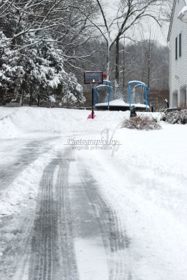 DSC_0436-A.jpg