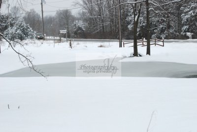 DSC_0437-A.jpg