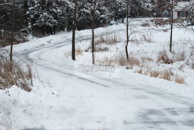 DSC_0447-A.jpg