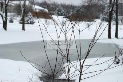 DSC_0451-A.jpg
