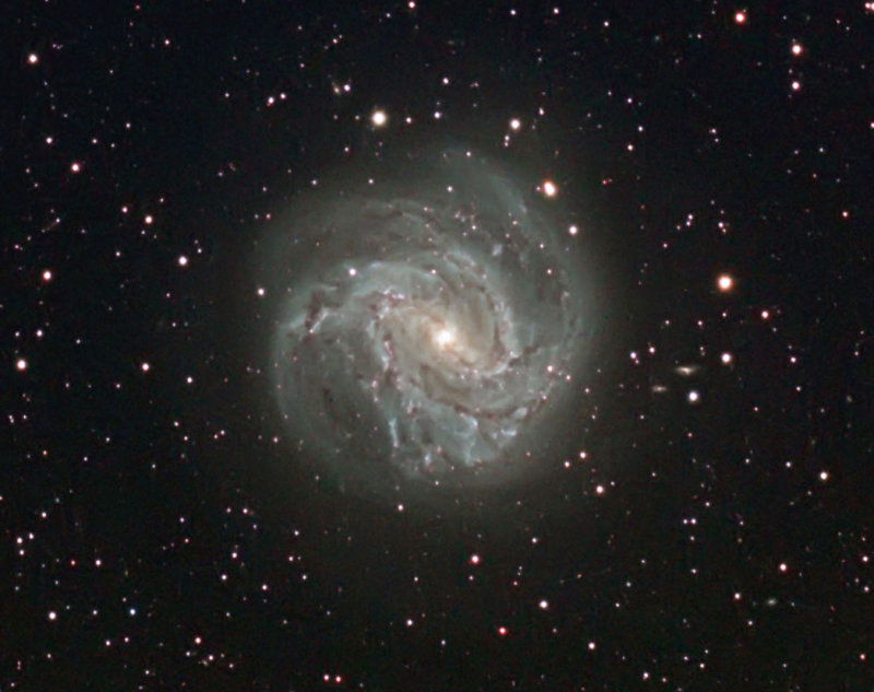 M 83