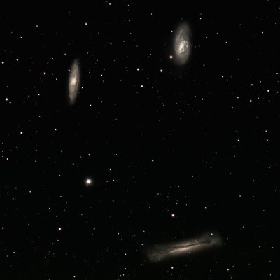 The Leo Triplet   (M 66 Group)