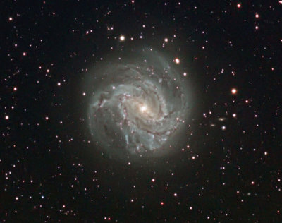 M 83