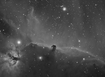Horse Head Nebula or B 33