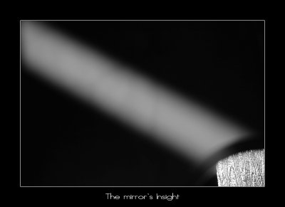 Mirror's Insight