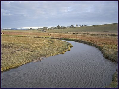 IMG_5006cv.jpg