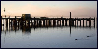 IMG_5369b.jpg
