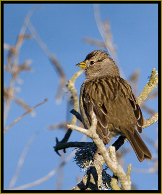 IMG_6130cg.jpg