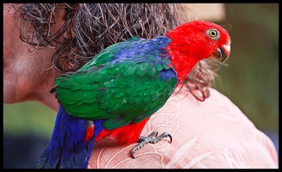IMG_4812.jpg
