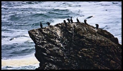 IMG_7149.jpg