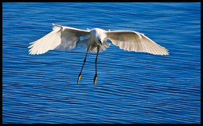IMG_7509.jpg