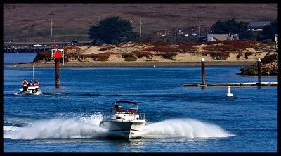 IMG_7863.jpg