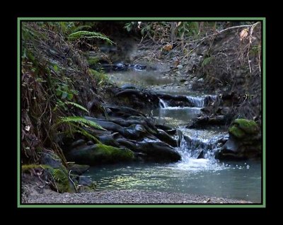 IMG_0989b copy.jpg