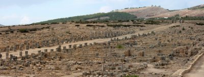 Volubilis vue d'ensemble