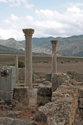 Volubilis colonnes