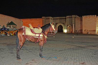 Meknes place El Hedime