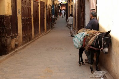 Fes mdina