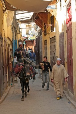 Fes mdina