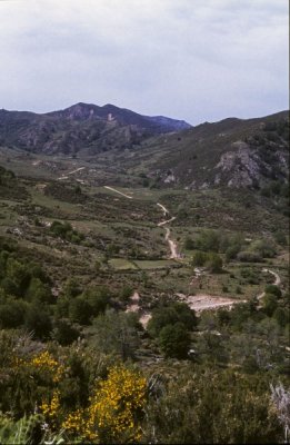 1982-01_Corse_85