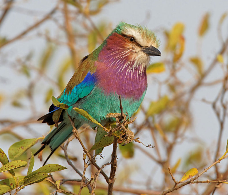 1D3_0982_DxO_raw.jpg