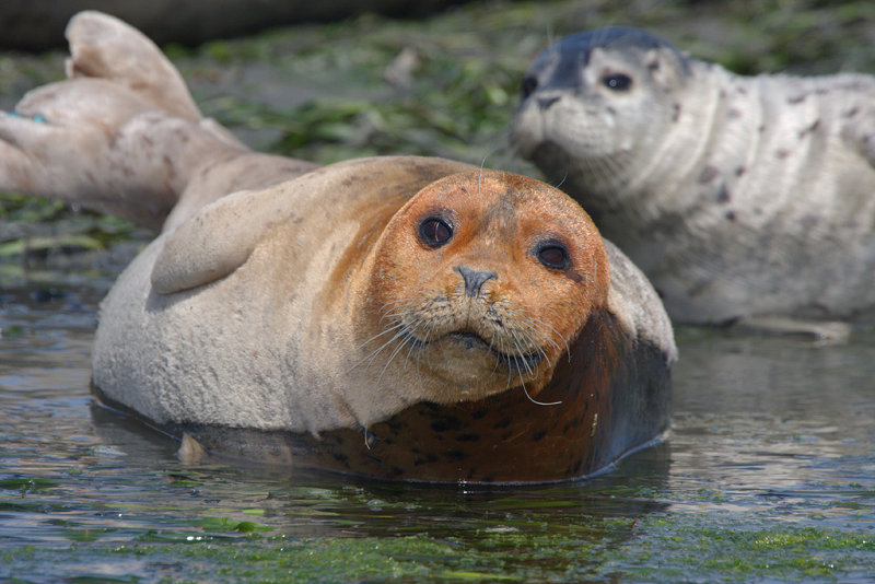 IMG_0180_DxO_RAW.jpg