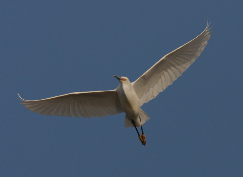 IMG_9864_DxO_RAW.jpg