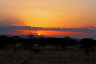 Tarangire Sunset