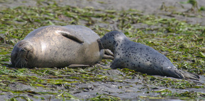 IMG_9626_DxO_RAW.jpg