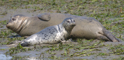IMG_9644_DxO_RAW.jpg