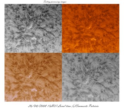 Our Sun in different lights