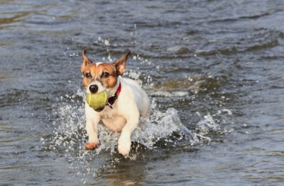 Water Game