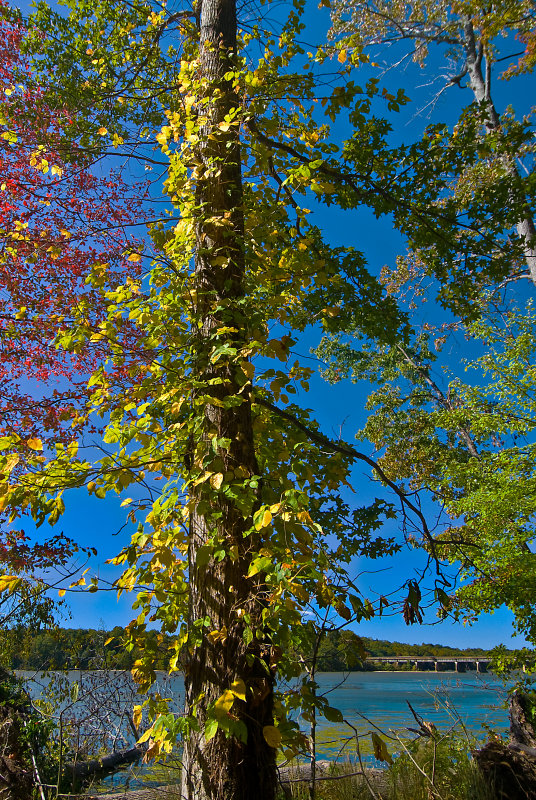 Leesylvania State Park Early Fall