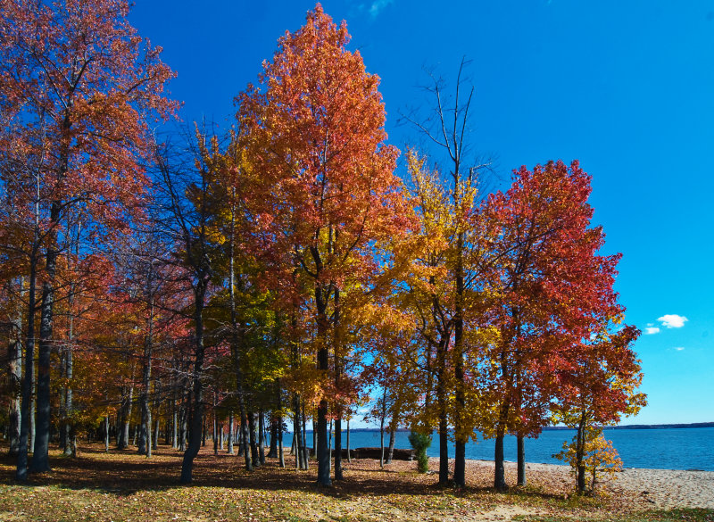 Fall at Leesylvania State Park