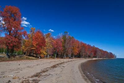 Fall at Leesylvania State Park--Potomac Shoreline