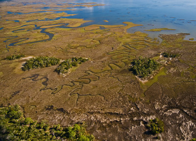 South of Cedar Key along Gulf Coast