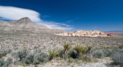 Red Rock Canyon