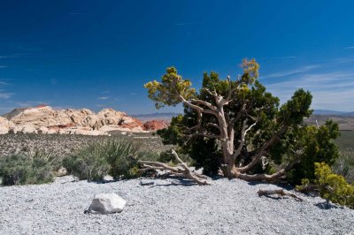 Red Rock Canyon