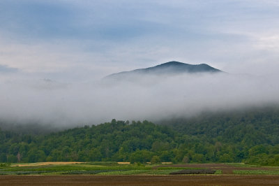 Fog Covered VT Mountain