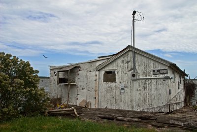 Abandoned Crab Processing Business