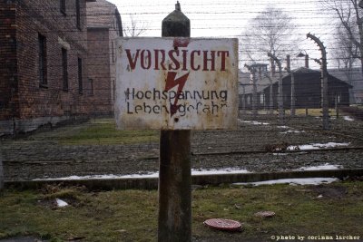 raccontare Auschwitz  - Birkenau 3