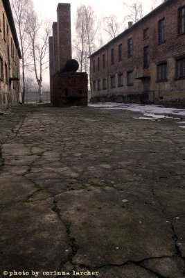raccontare Auschwitz  - Birkenau 7