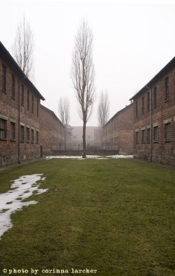raccontare Auschwitz  - Birkenau 8