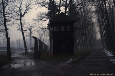 raccontare Auschwitz  - Birkenau 11