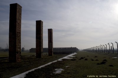 raccontare Auschwitz  - Birkenau 15