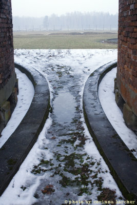 raccontare Auschwitz  - Birkenau 23