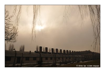 ricordare Auschwitz - Birkenau 05