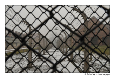 ricordare Auschwitz - Birkenau 06