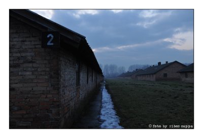 ricordare Auschwitz - Birkenau 25