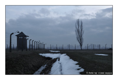 ricordare Auschwitz - Birkenau 26