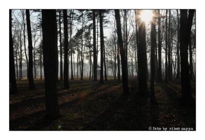 ricordare Auschwitz - Birkenau 29